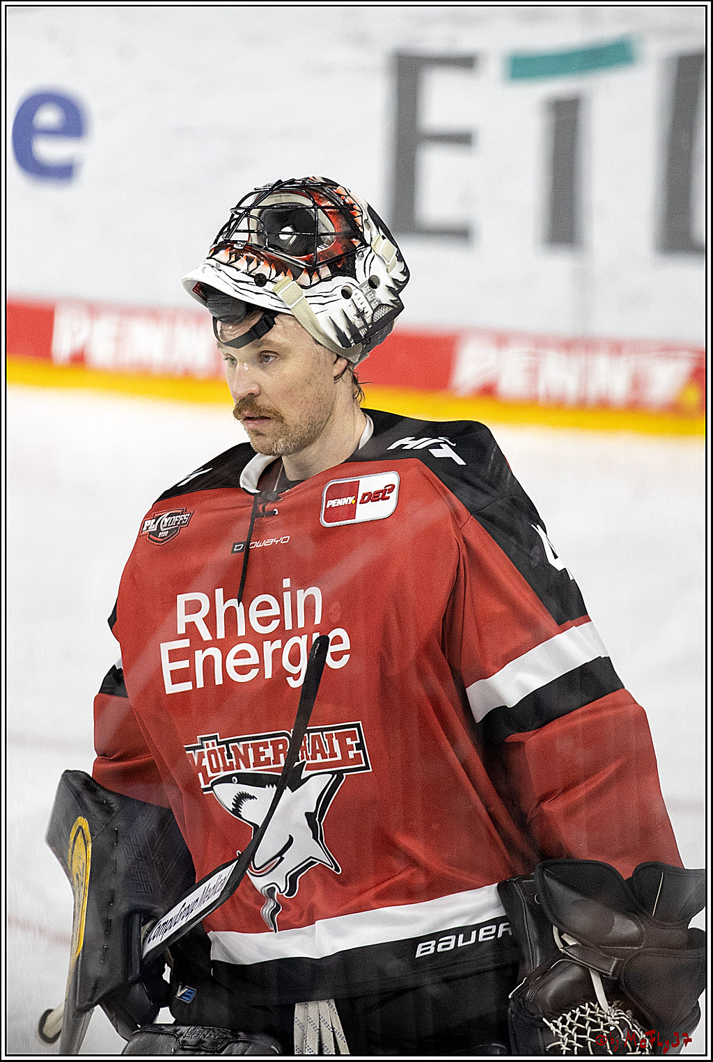 PENNY DEL 1. Playoff Runde;  Koelner Haie - ERC Ingolstadt; Koeln, 05.04.2022